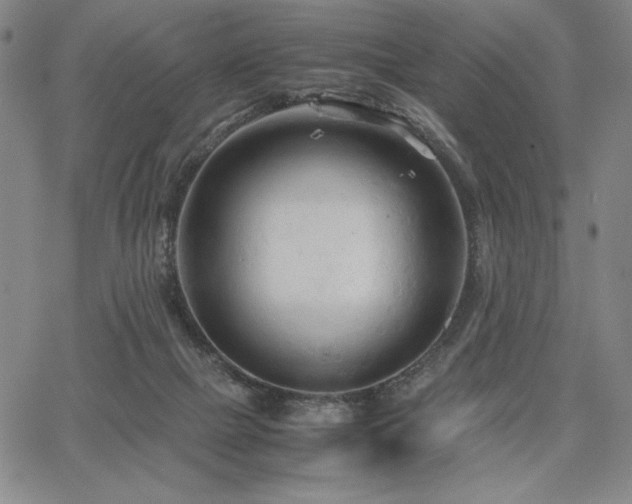 X0000067830073200604131211