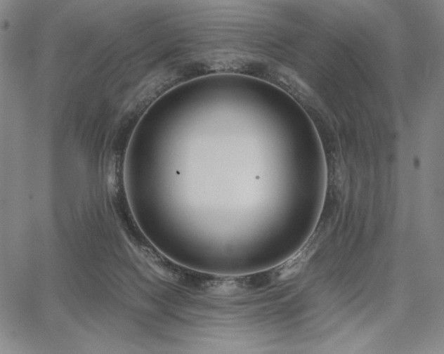 X0000067830074200604131211