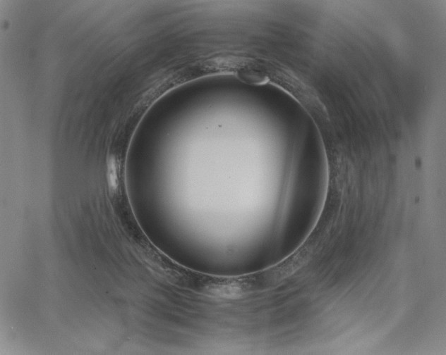 X0000067830075200604131211