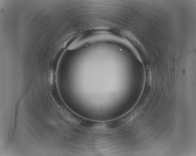 X0000067830076200604131211