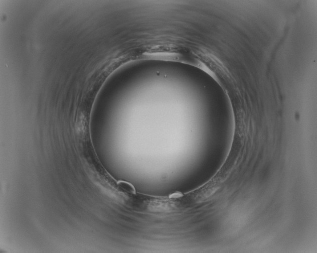 X0000067830077200604131211