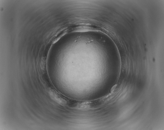 X0000067830078200604131211