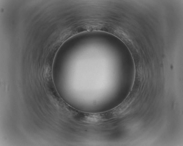 X0000067830079200604131211