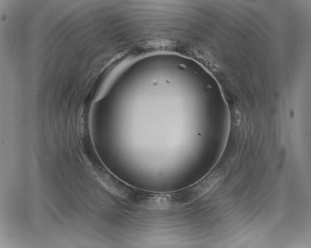 X0000067830080200604131211