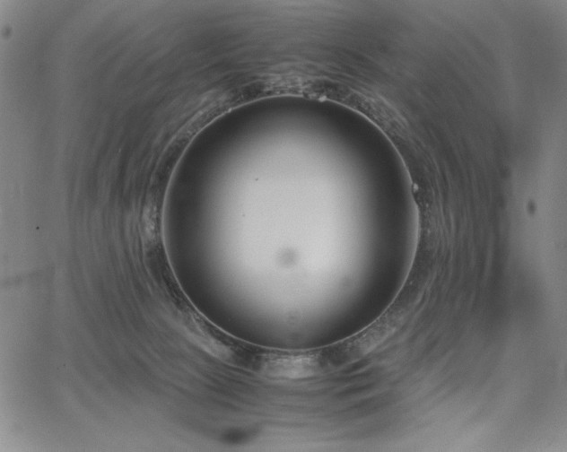 X0000067830081200604131211