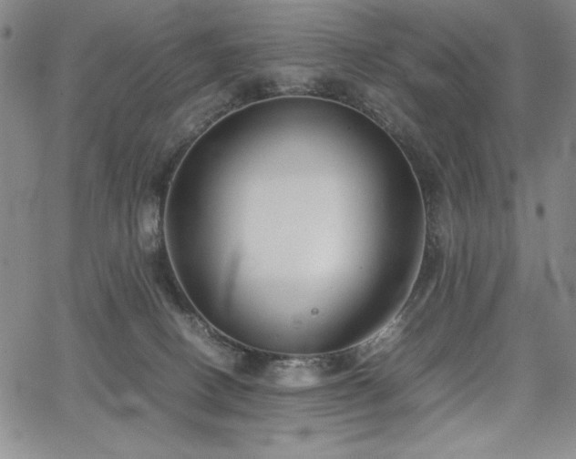 X0000067830082200604131211