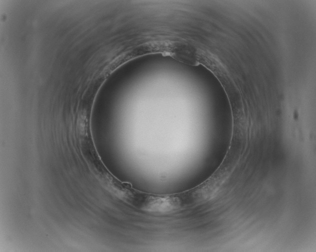 X0000067830083200604131211