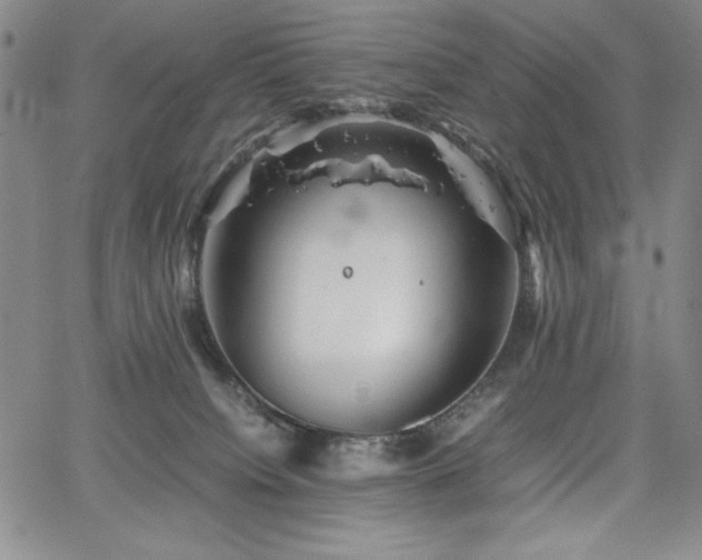 X0000067830084200604131211