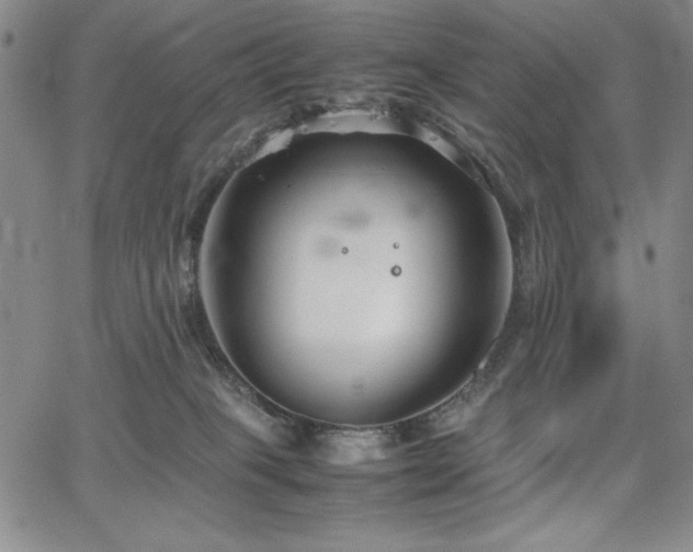 X0000067830085200604131212