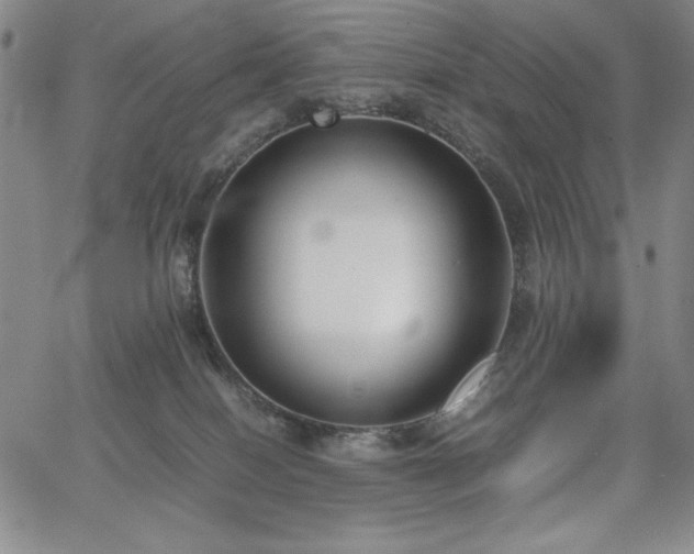 X0000067830086200604131212