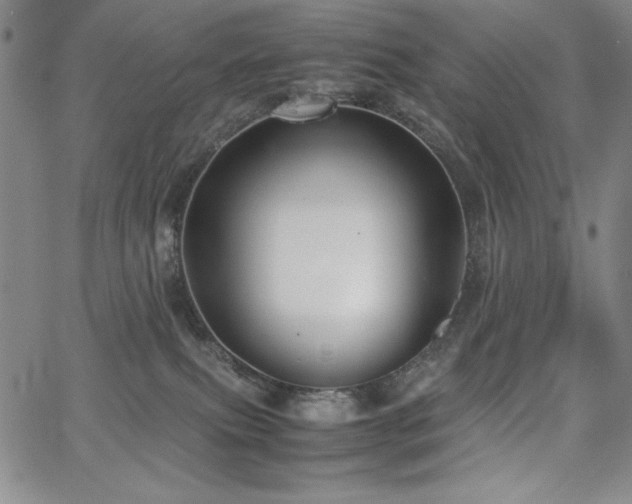 X0000067830087200604131212