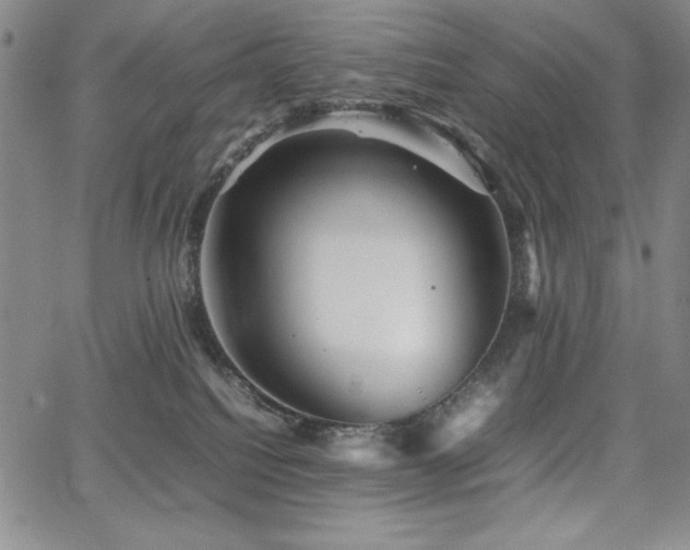 X0000067830088200604131212