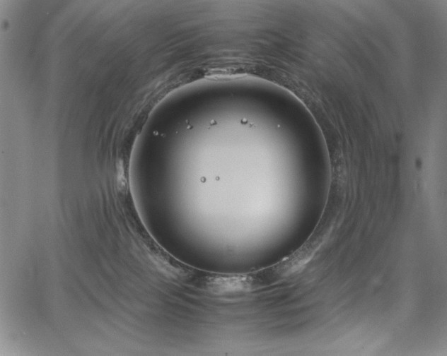 X0000067830089200604131212