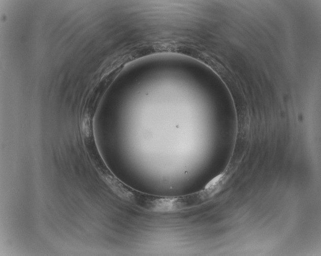 X0000067830090200604131212