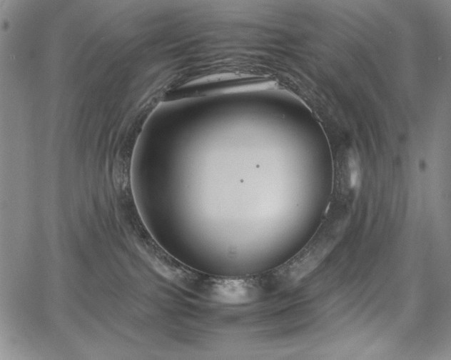 X0000067830091200604131212