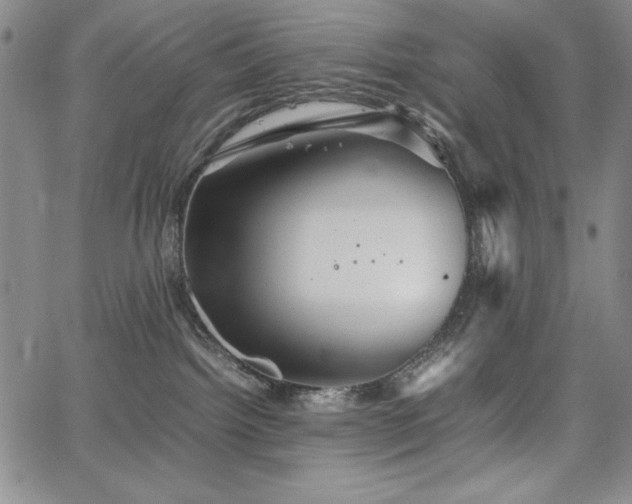 X0000067830092200604131212