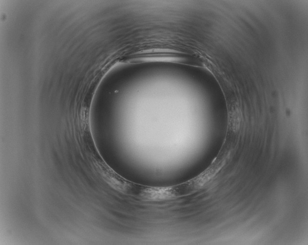 X0000067830093200604131212