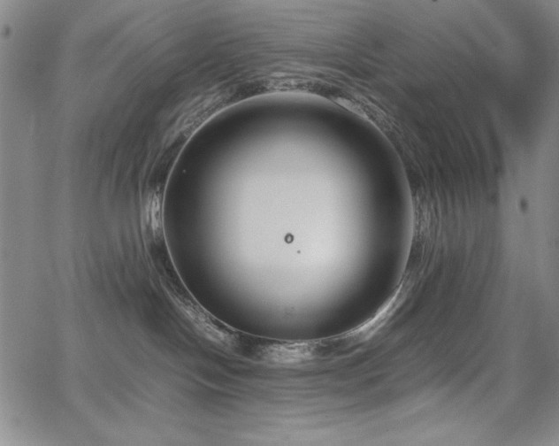 X0000067830094200604131212