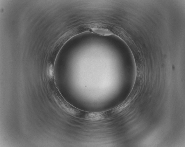 X0000067830095200604131212