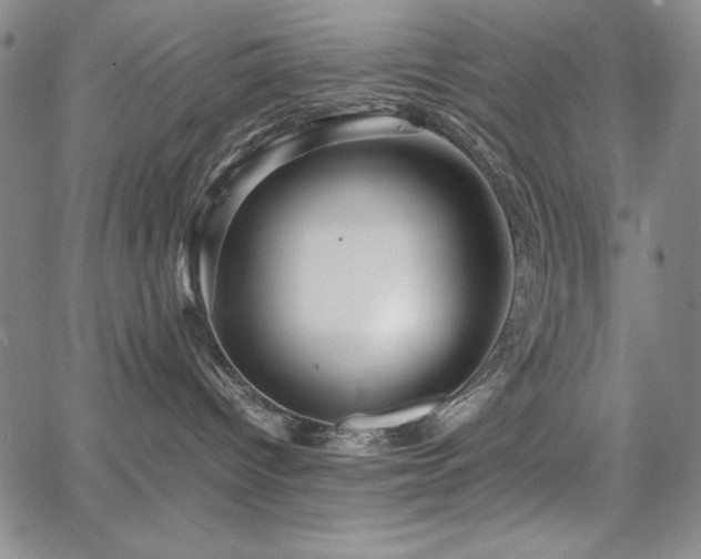 X0000067830096200604131212