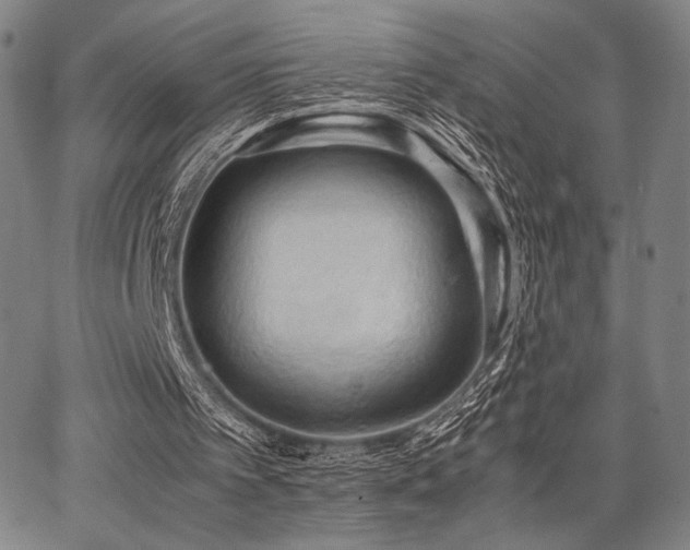 X0000067830097200604131211