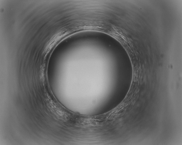 X0000067830098200604131211