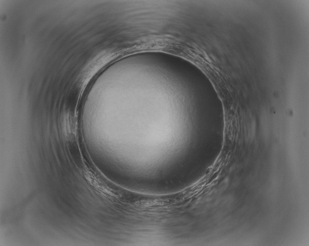 X0000067830100200604131211