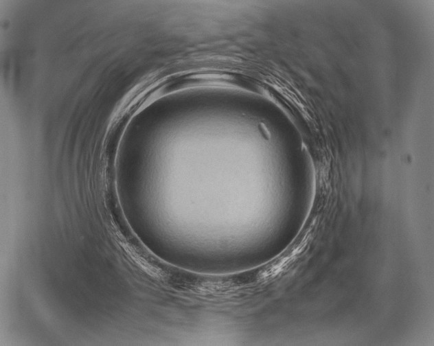 X0000067830101200604131211