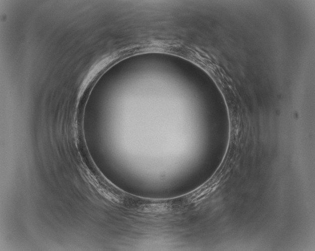 X0000067830102200604131211