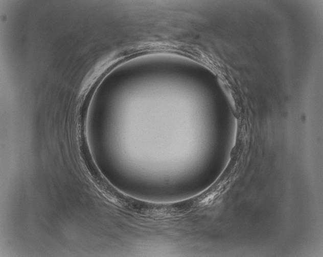 X0000067830103200604131211