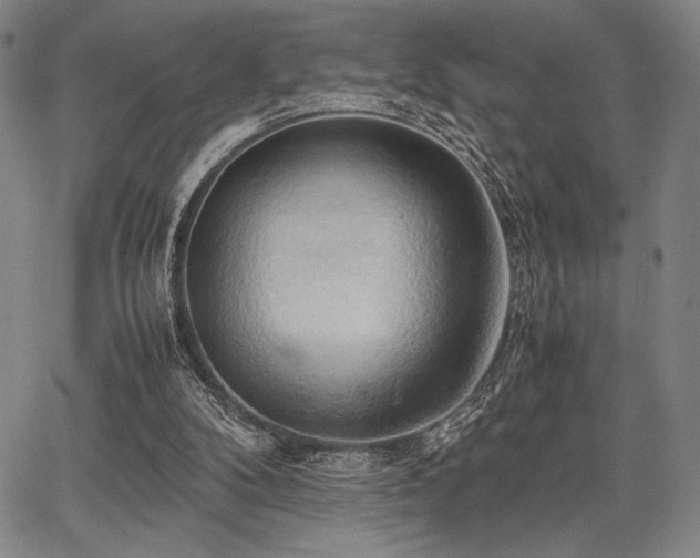 X0000067830104200604131211