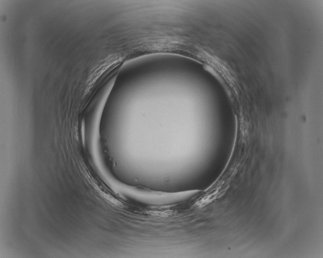 X0000067830105200604131211