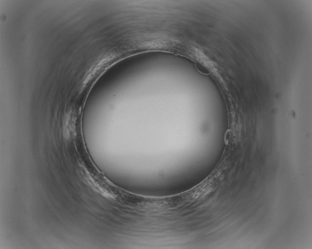 X0000067830106200604131211