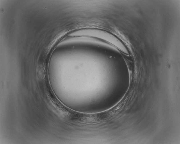 X0000067830107200604131211