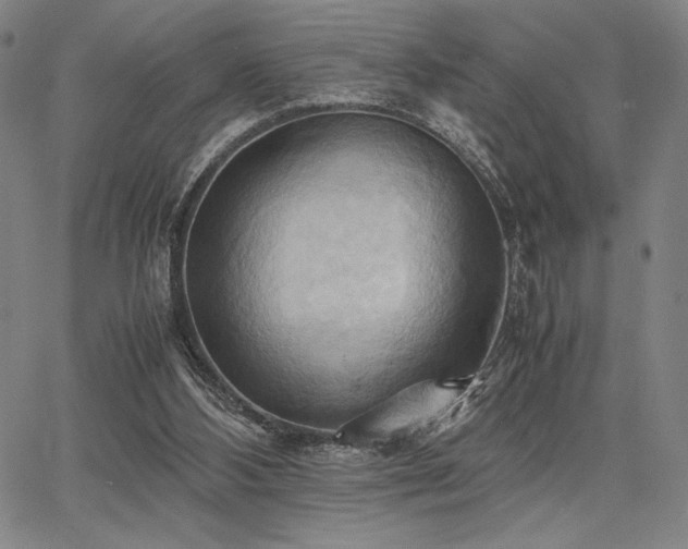 X0000067830108200604131211