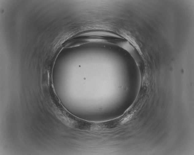 X0000067830109200604131211