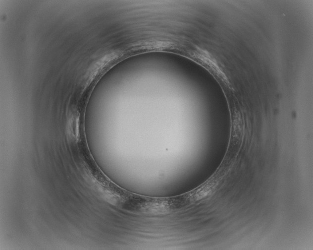 X0000067830110200604131211