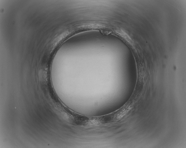 X0000067830111200604131211