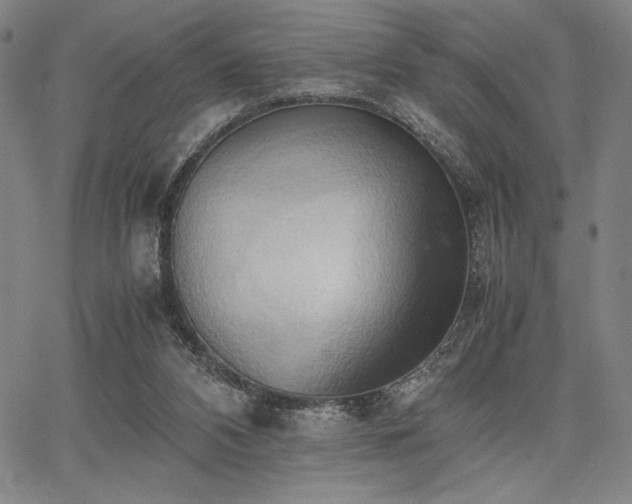 X0000067830112200604131211