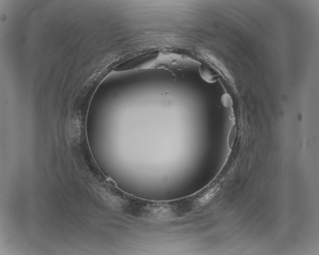 X0000067830113200604131211