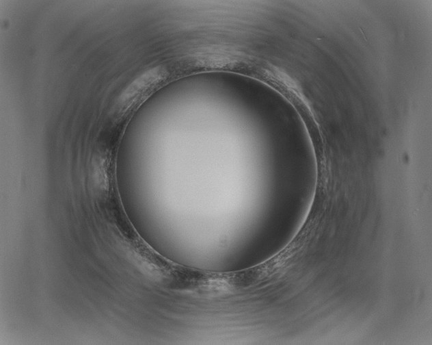 X0000067830114200604131211