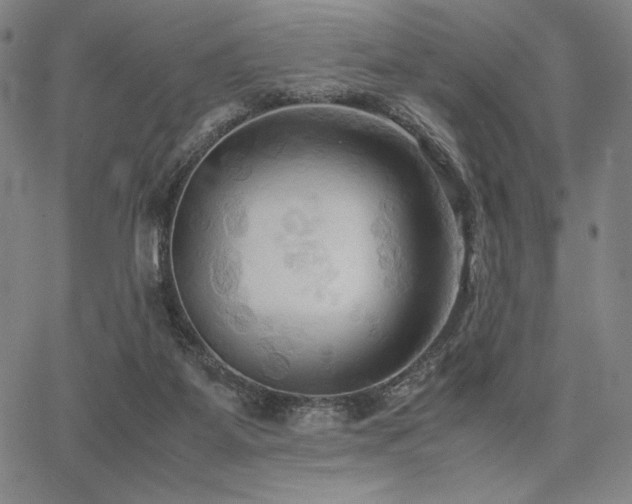 X0000067830115200604131211