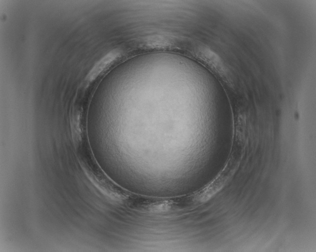 X0000067830116200604131211