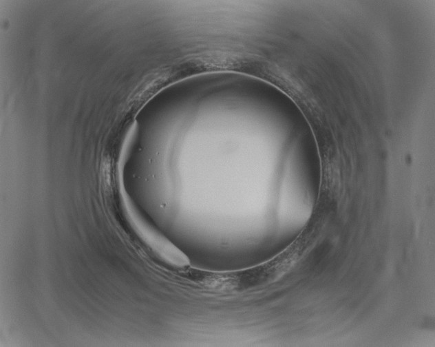 X0000067830117200604131211