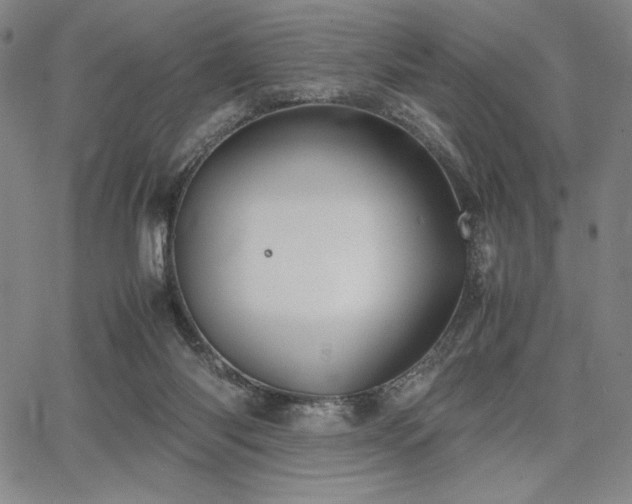 X0000067830118200604131211