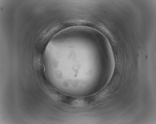 X0000067830119200604131211