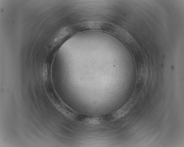 X0000067830120200604131211