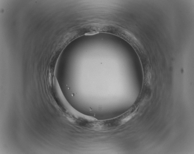 X0000067830121200604131210