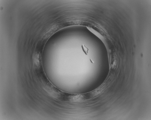 X0000067830122200604131210