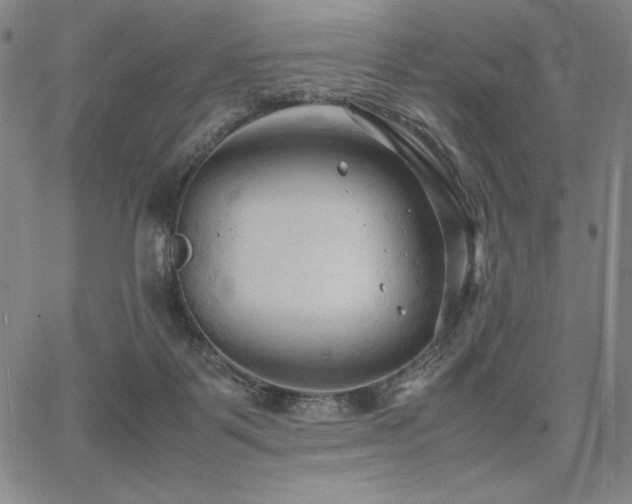 X0000067830123200604131210